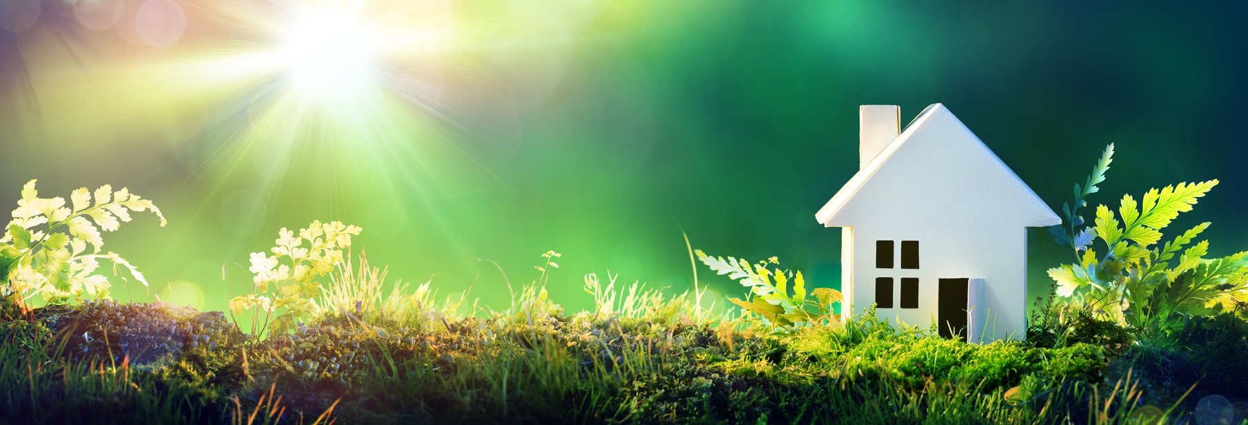 Photo inspiration: Visual Reference: 5 Sustainable Home Improvement Ideas For Eco Friendly Roi