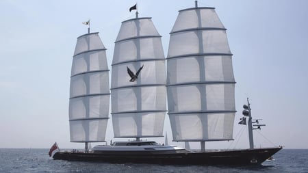 maltese falcon 1
